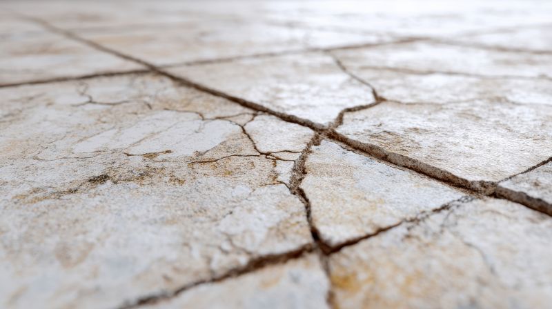 Terrazzo Tile Repair in Overland Park, KS